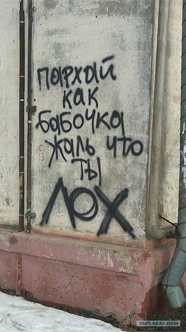 Асфальт, стены, заборы... Так пить или жить?