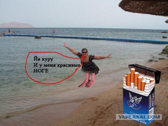 Фотожаба: Улетаю