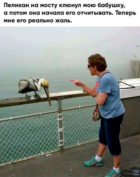 Чуток картинок!