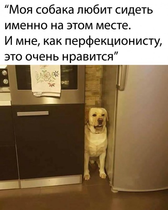 Немного картинок для настроения 05.05.20