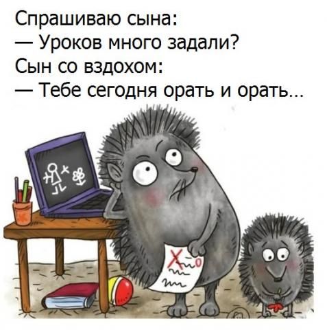 Немного картинок для настроения 22.05.20