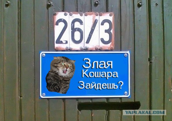 Фотожаба: Я Табличка