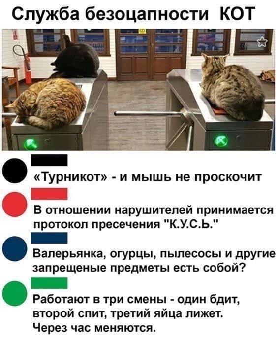 Картинки всякие, 27.08.2020
