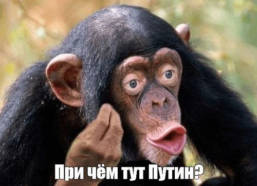 Не хочешь питаться помоями? Ну ты и мразь! Совсем зажрался...