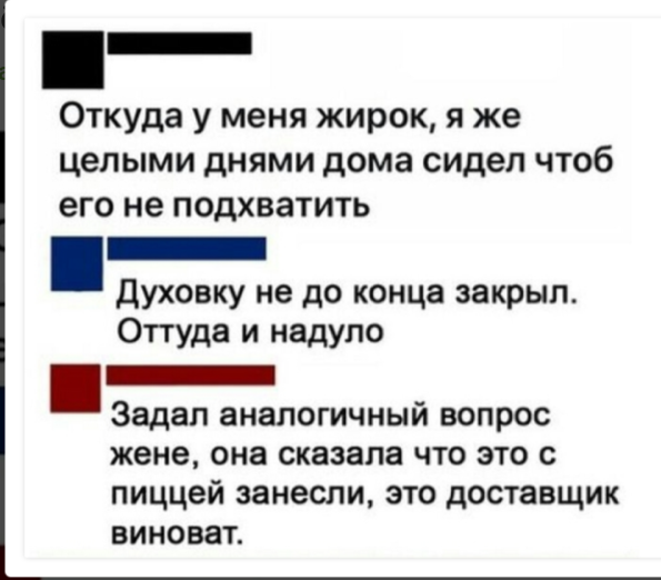 Весёлый полтишок 15.08