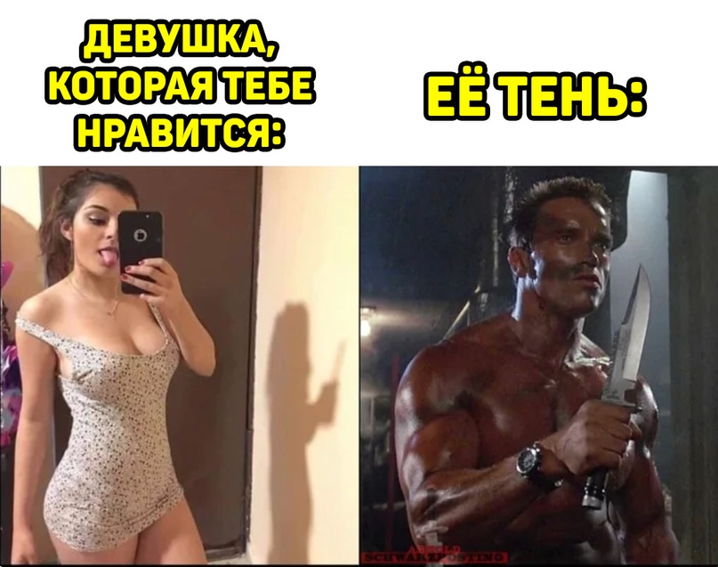 15907554.jpg