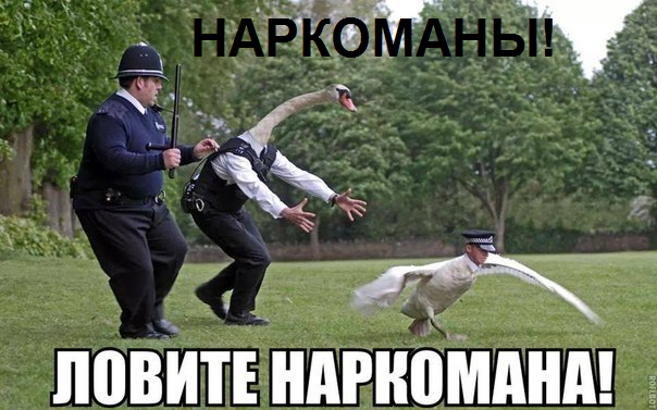 Чёрно-пошлый вторник