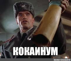 Минипиг жив, никто его не ел