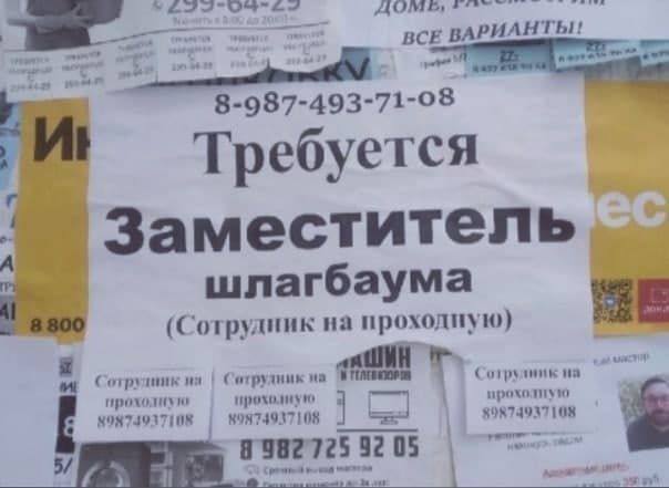 Победная поступь идиотизма по планете – том 8