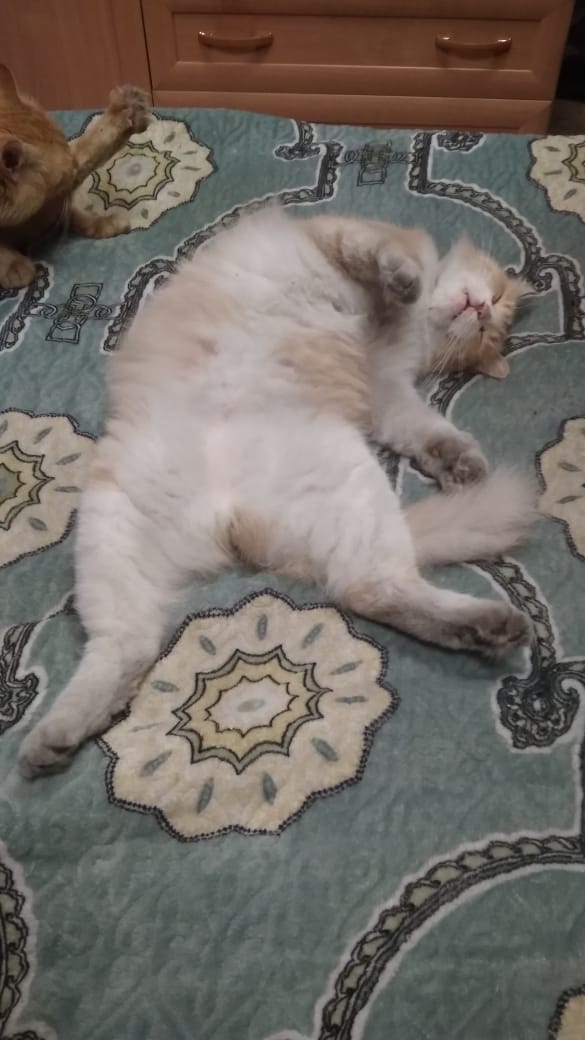 Изюм