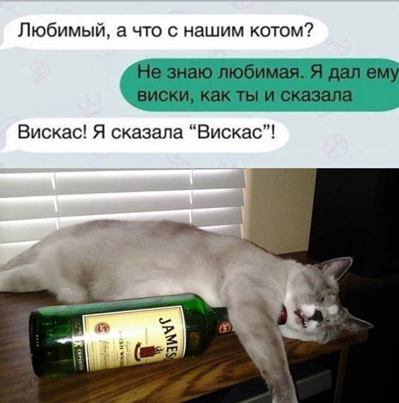 Так себе картинки 16.07.23