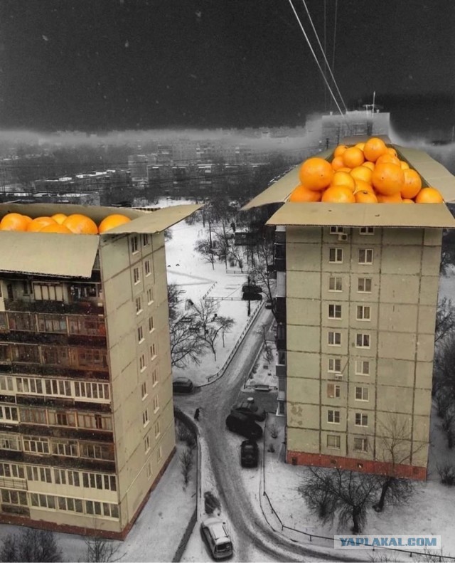 "Папа, а ты лох?" или "Женщинам надо мстить, что я и делаю": история мужчины