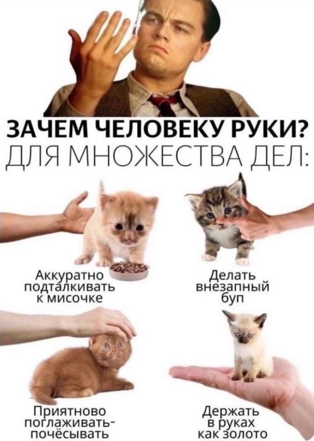 Немного забавных картинок