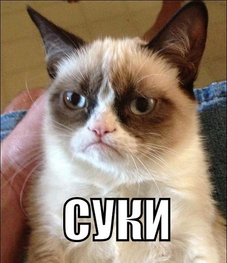 Домашний лев