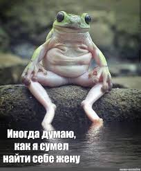 Поляк встретил лягушку. Получилось как обычно