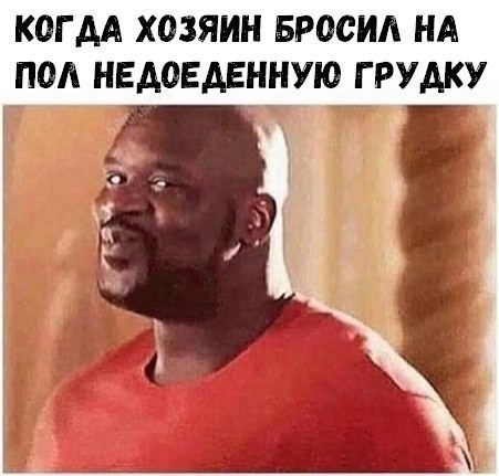 Пятничные 100м2 дичи
