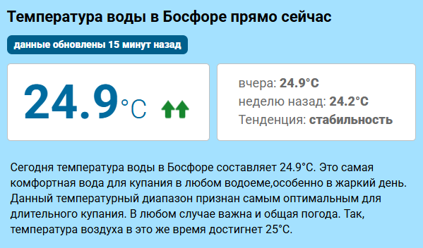 В Стамбуле во время заплыва «Босфор-2025» пропал 29-летний тренер из Москвы