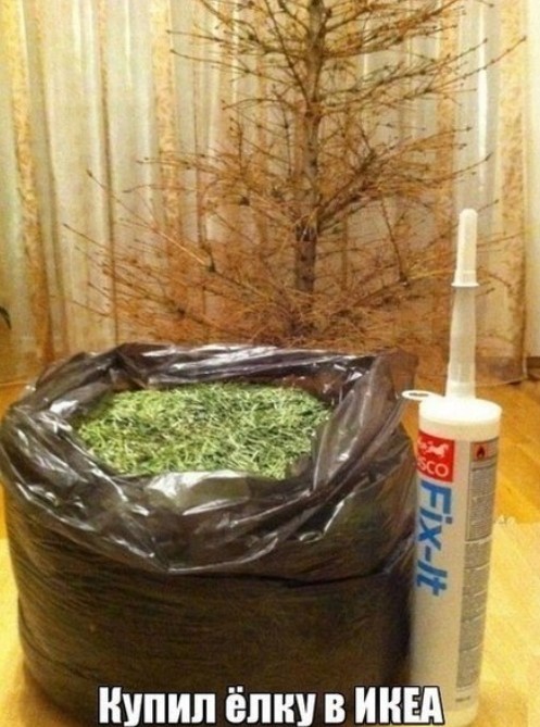 Картиночки, баянчики 30 апреля