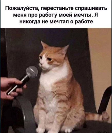 Долгожданное солнце