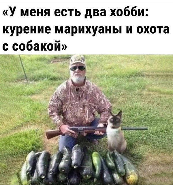 В Новосибирской области охотник застрелил товарища вместо медведя