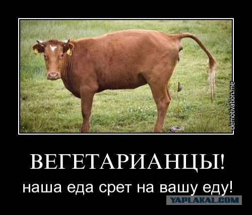 Ужин для вегетарианцев