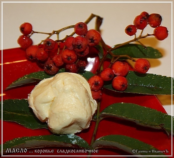 Масло коровье ... сладкосливочное ...., ... очень длинный и подробный пост