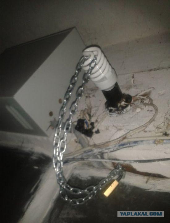 Подборка прикольных фото на начало мая