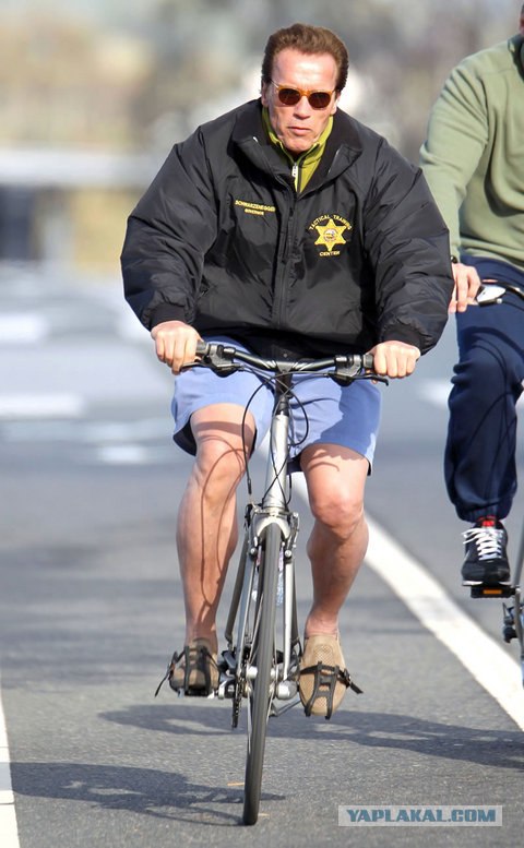 Арнольд работает на Слая