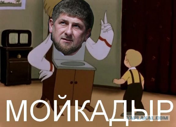 МойКадыр