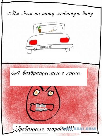 Поздравляю всех