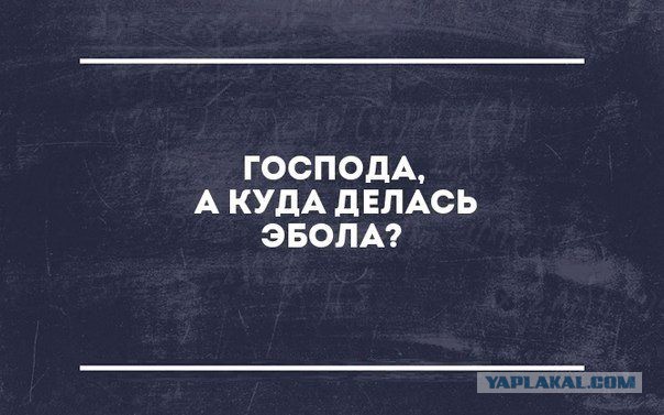 Куда делась Эбола?