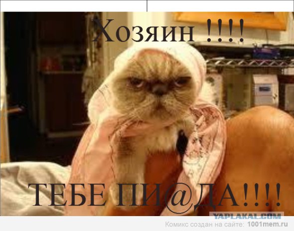 Скорее всего он не ждет