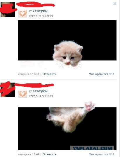 Креатив из вконтактика.