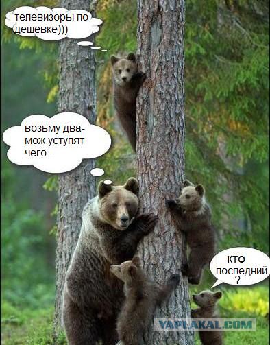 Тонкий троллинг телевизора за 1 999 990 р.