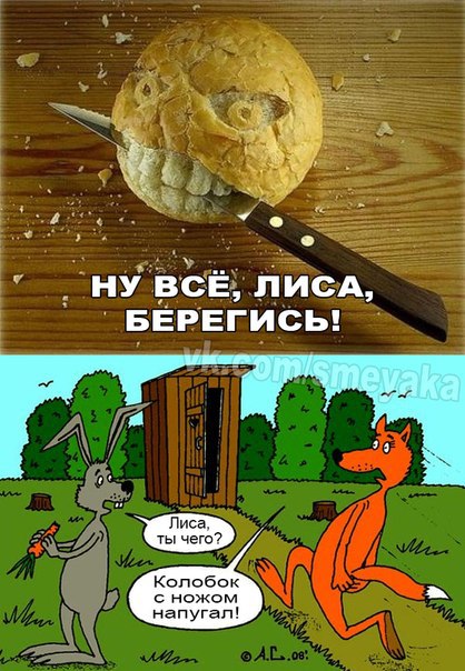Ужасы и приколы из соцсетей 18+