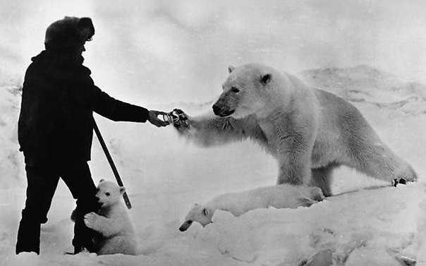 Интересные исторические фотографии