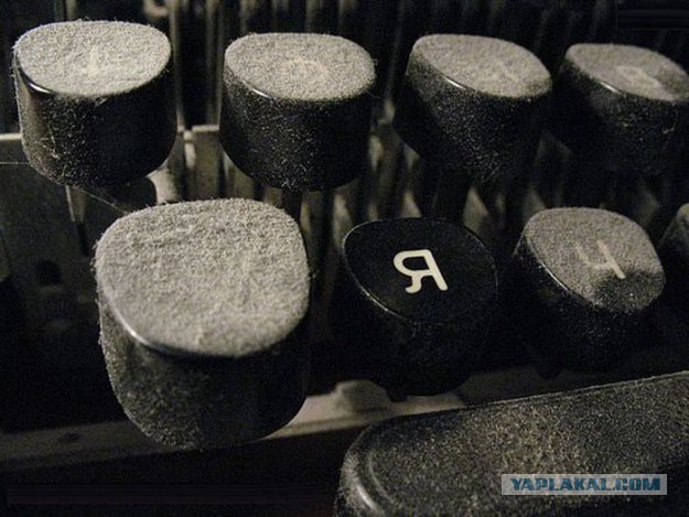 Картинки для поднятия настроения - 4