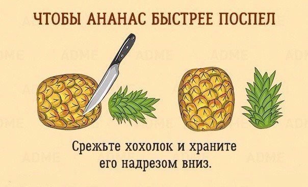 Подборка интересных и смешных картинок