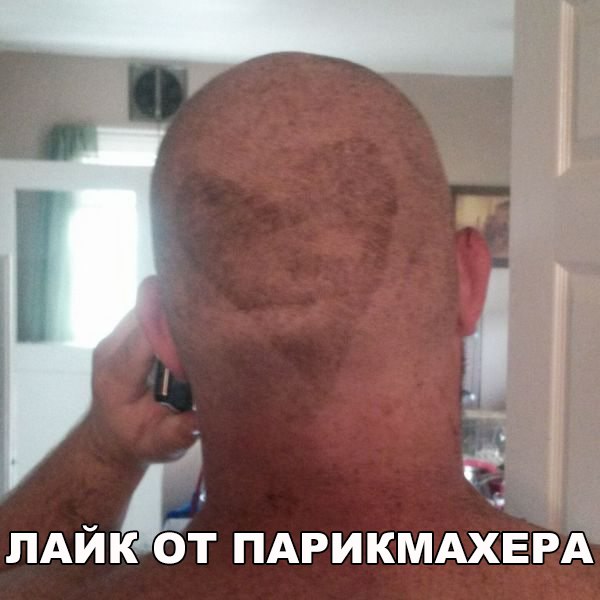 Подборка безудержного веселья