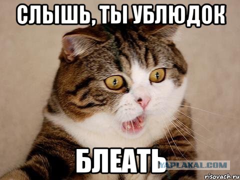 Зажигательный танец капоэйра