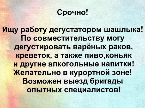 Очередная порция перлов