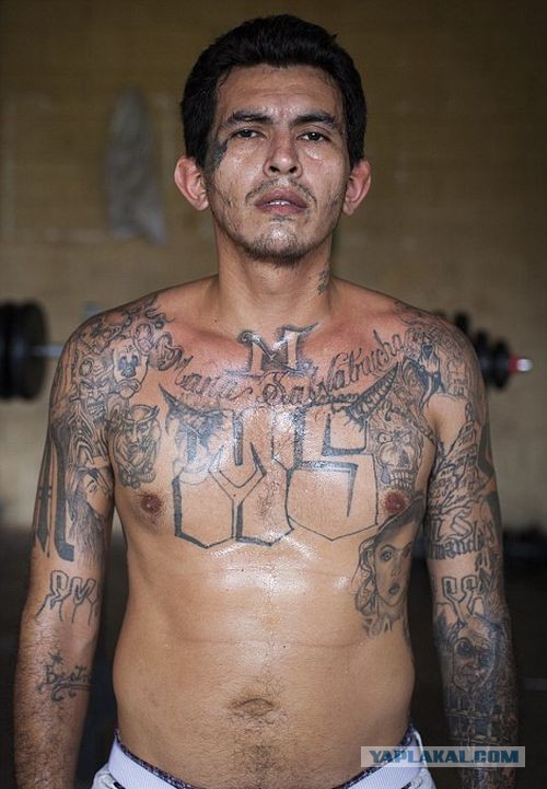 "Хуже, чем Аль-Каида"*: MS-13 — самая жестокая мафия в мире