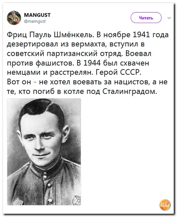 В Кремле не согласны с обвинениями в злом умысле и пропаганде нацизма в адрес школьника из Уренгоя.
