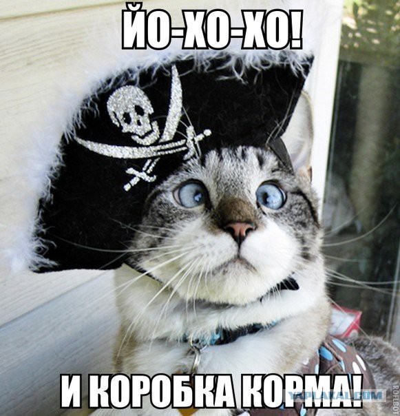 Американские летчики засняли НЛО?