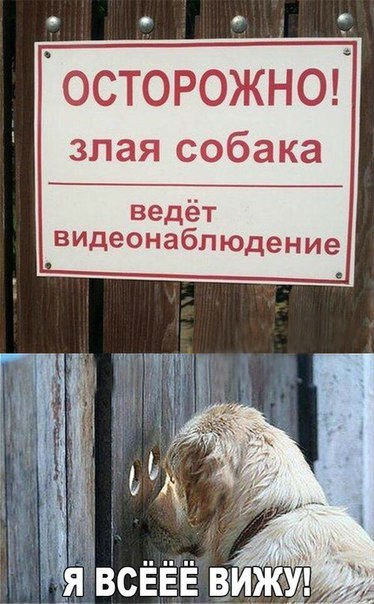 Предупреждён - значит вооружен!