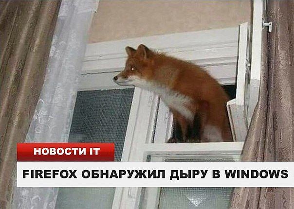 Смешные комментарии из социальных сетей 22.02.2018