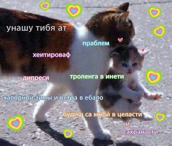 Немного странного юмора на вечер
