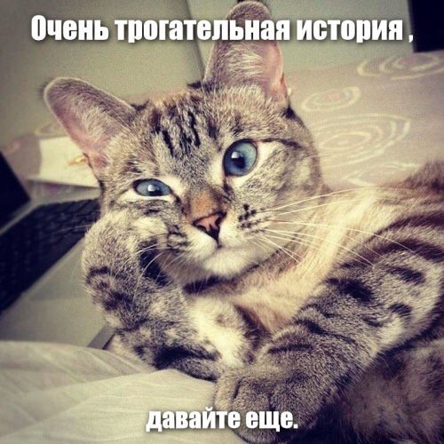 Женское домогательство… История из жизни