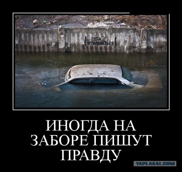 103 картинки для поднятия настроения!