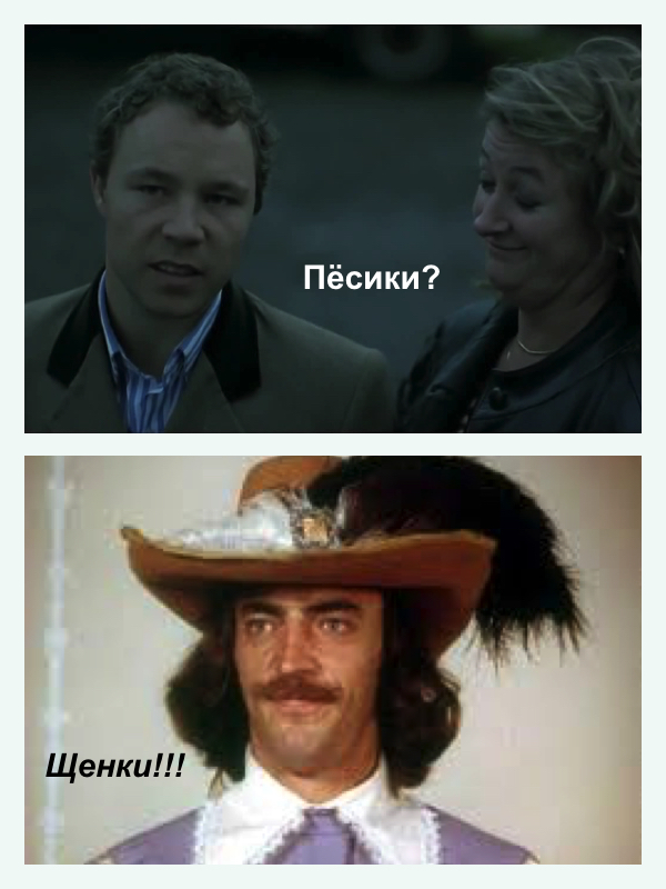 Щенки первый раз увидели бабочку